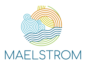 Le tecnologie Maelstrom su Euronews